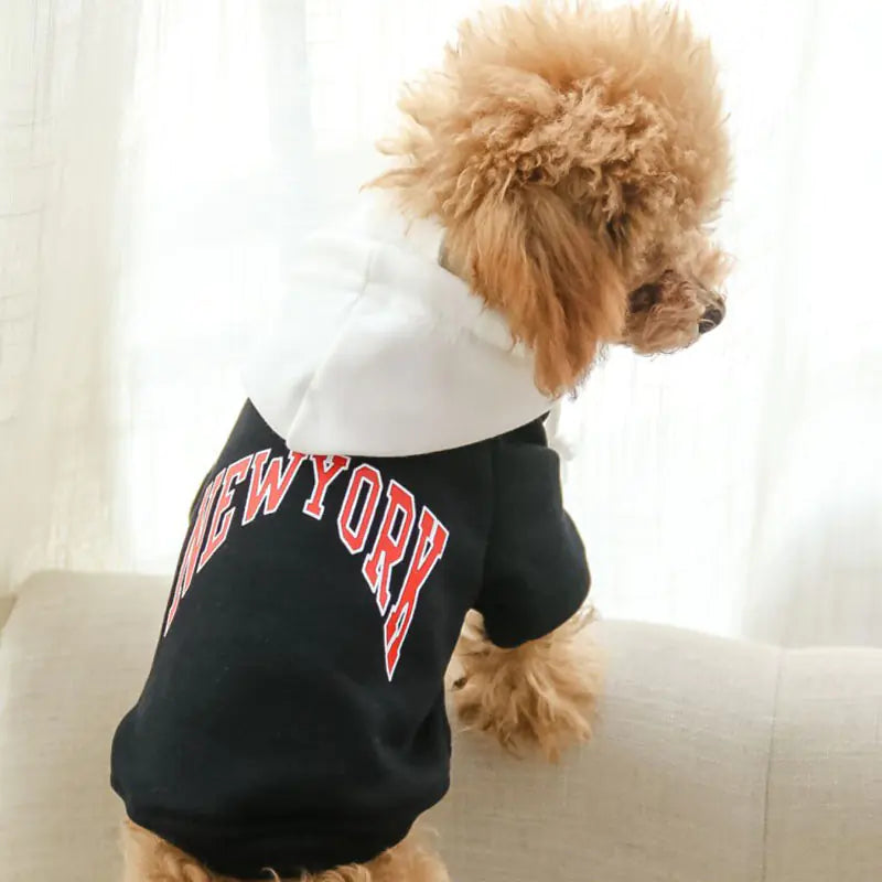 Cotton Casual Pet Hoodie