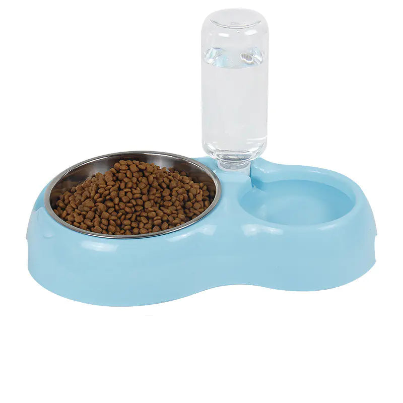 StayHydrated Cat & Dog Bowl