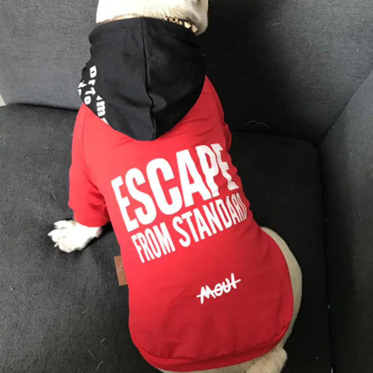 Comfy Cotton Sweater