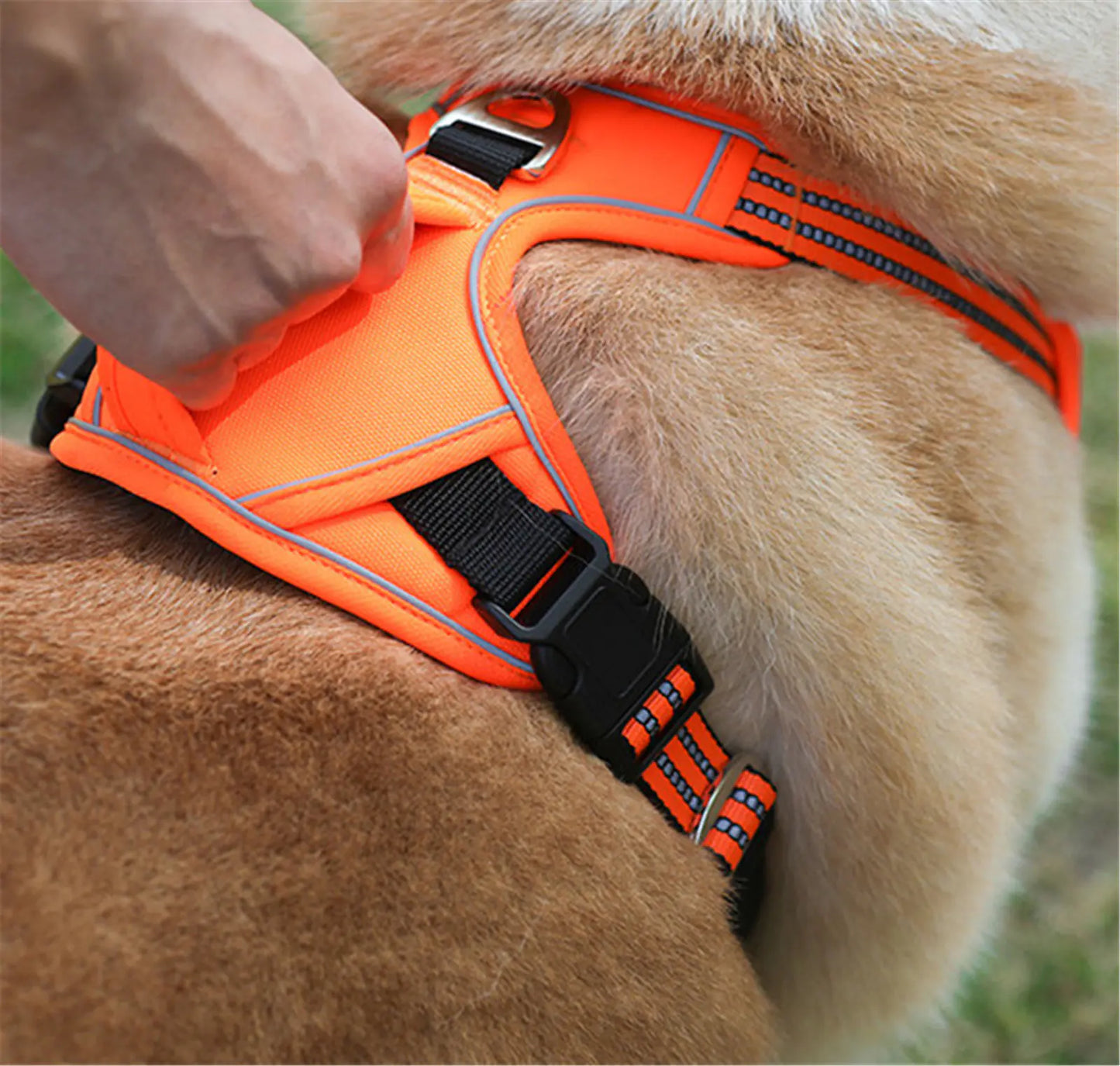Sturdy All-Weather Pet Harness with Handle