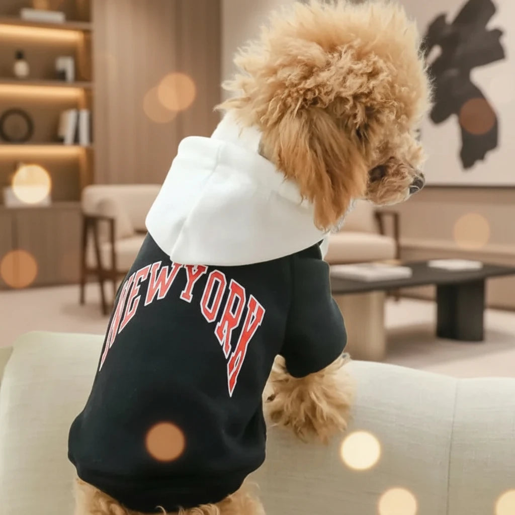 Cotton Casual Pet Hoodie