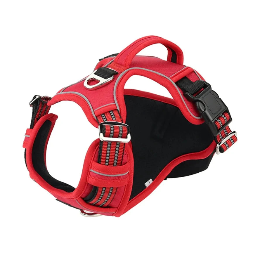 Sturdy All-Weather Pet Harness with Handle