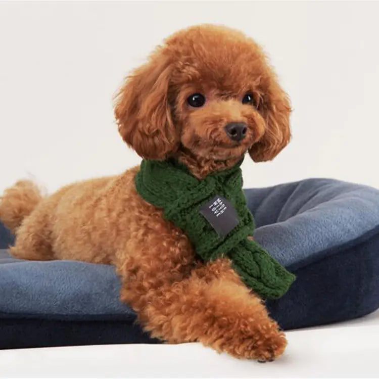Cozy Woolen Pet Scarf