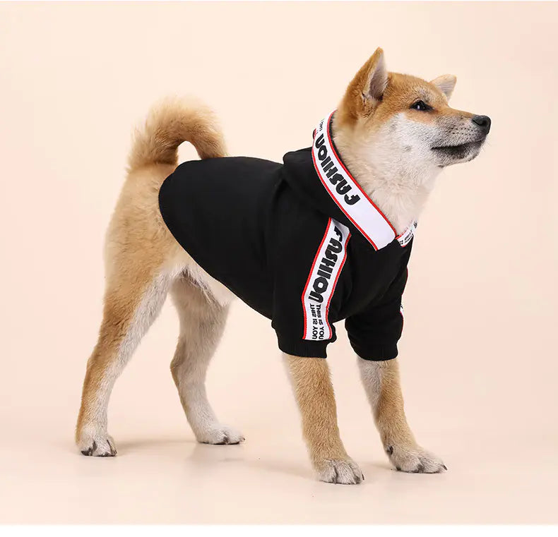 Stylish Dog Outfits