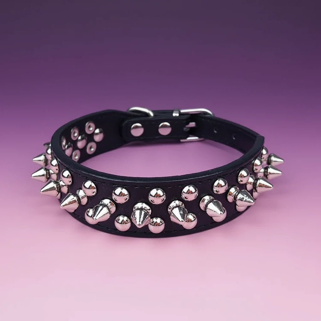 Elegant Rivet Dog Collar