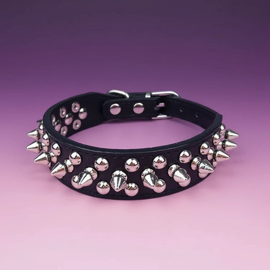 Elegant Rivet Dog Collar