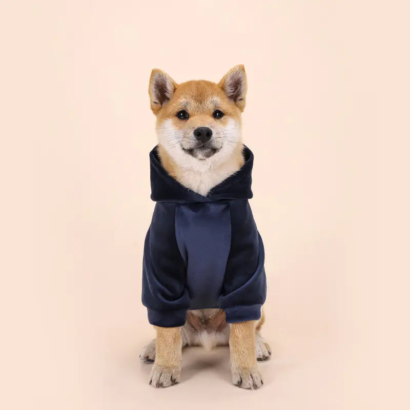 Pet's Warm Cotton Fashion