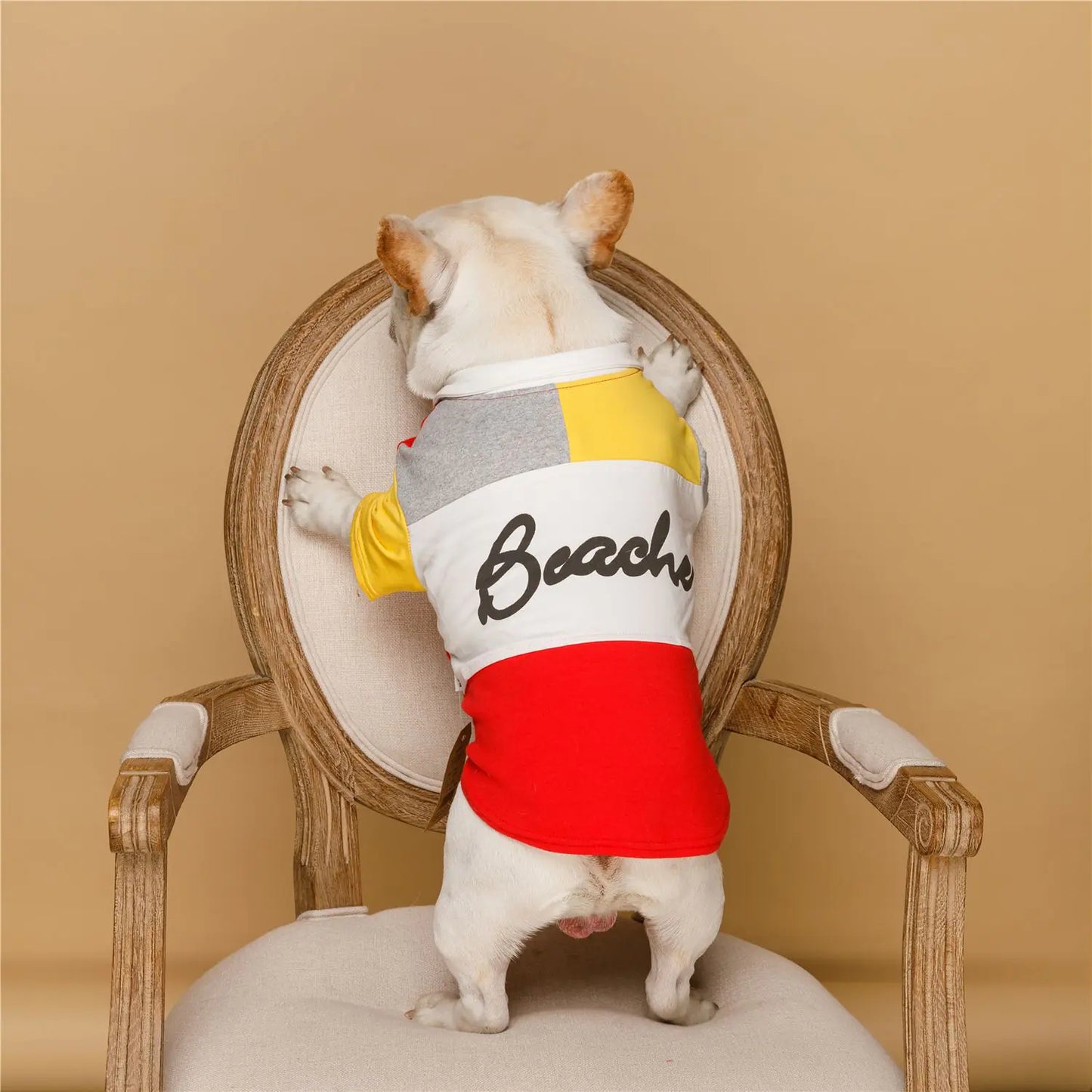 Canine Spring Fashion Polo