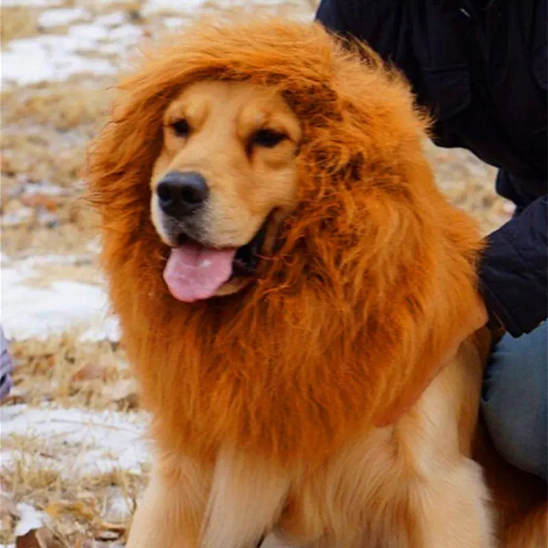 Cozy Lion Mane Dog Wig