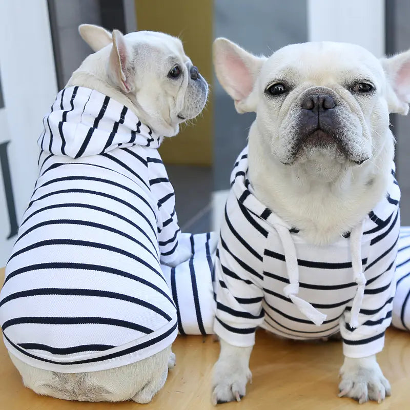 Furry Fashion Stripe Hoodie - Dogs & Cats
