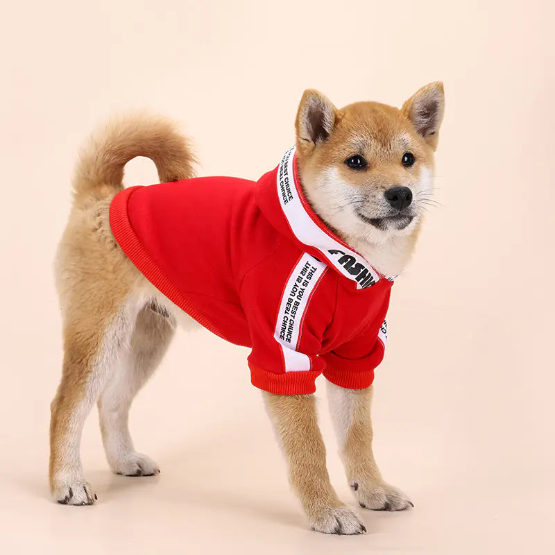 Stylish Dog Outfits