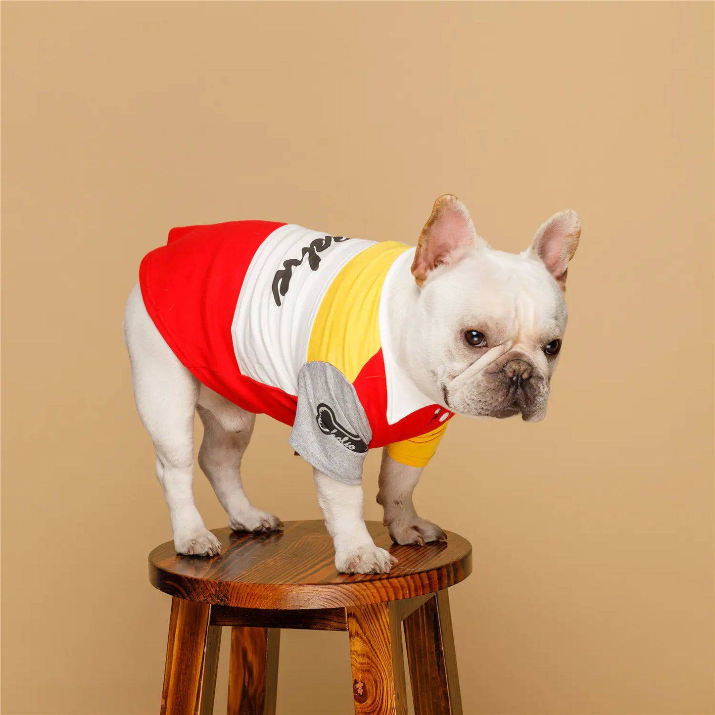 Canine Spring Fashion Polo