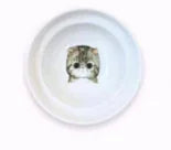 Kitty Comfort Dish