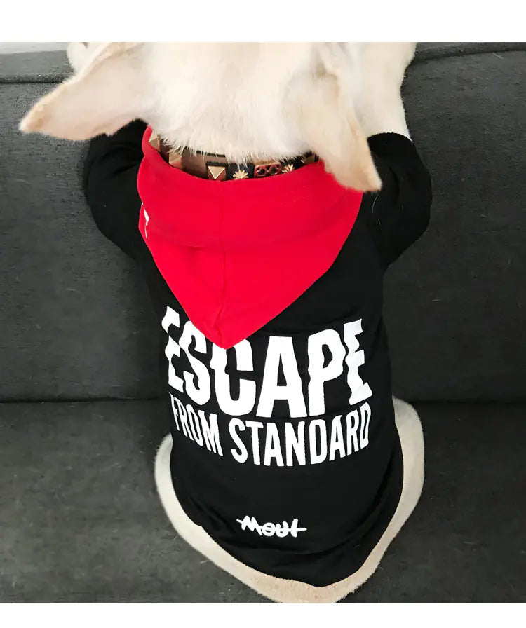 Comfy Cotton Sweater