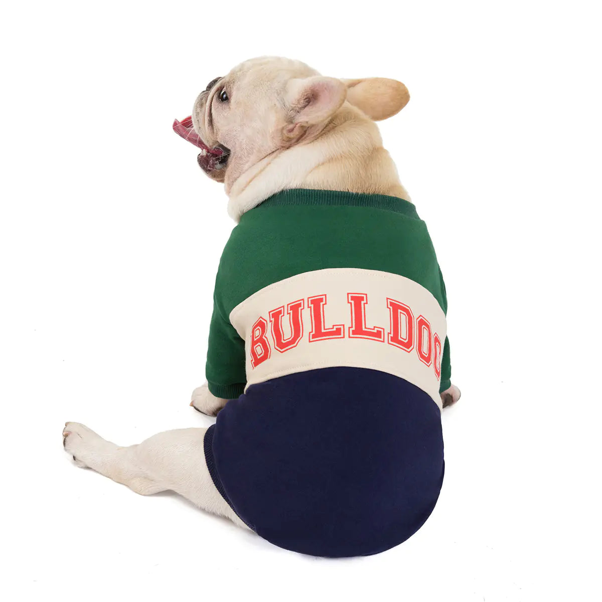 Cozy Bulldog Cotton Sweater