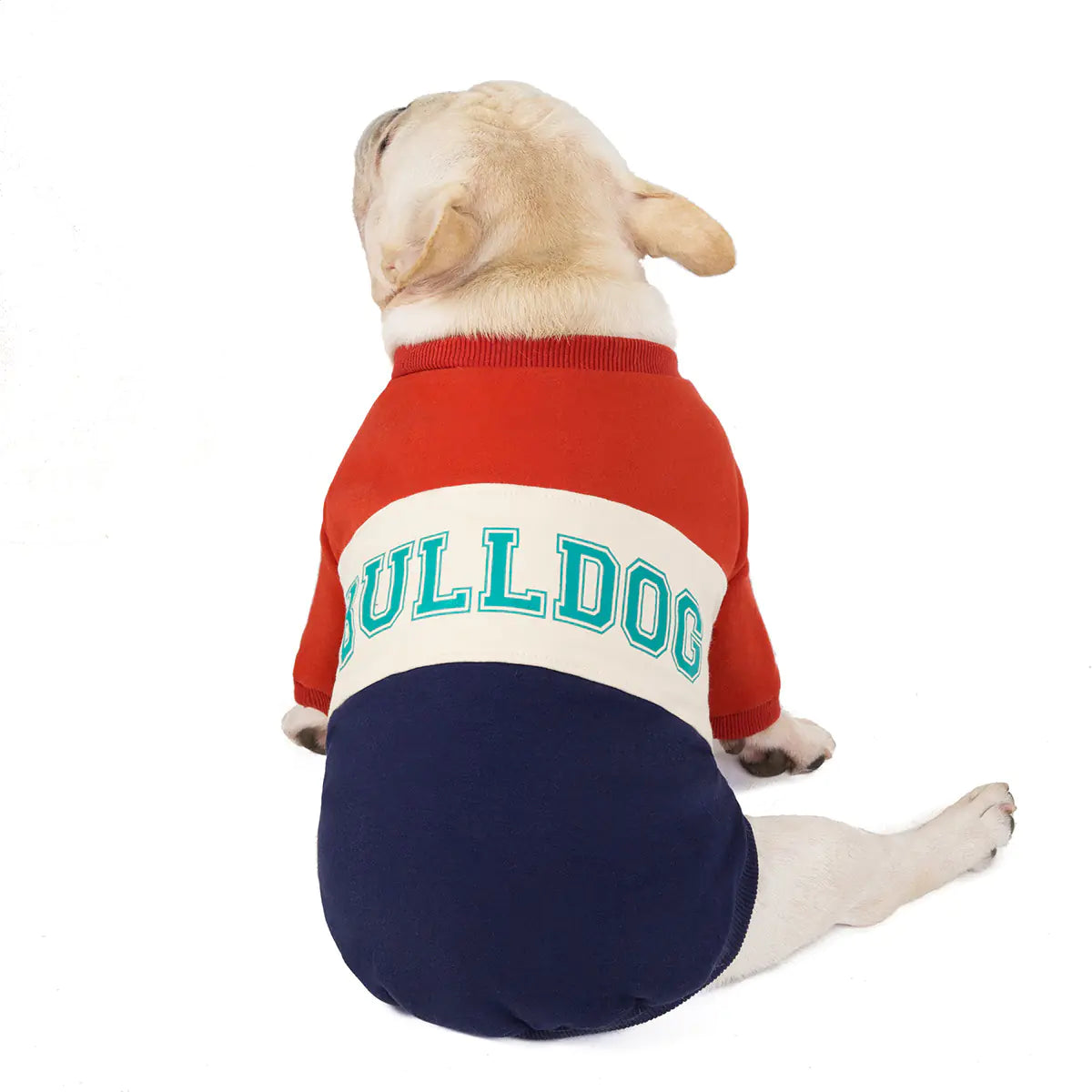 Cozy Bulldog Cotton Sweater