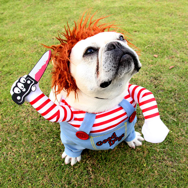 Halloween Pooch Cosplay Outfit