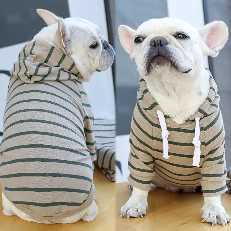 Furry Fashion Stripe Hoodie - Dogs & Cats