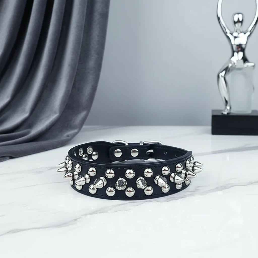 Elegant Rivet Dog Collar