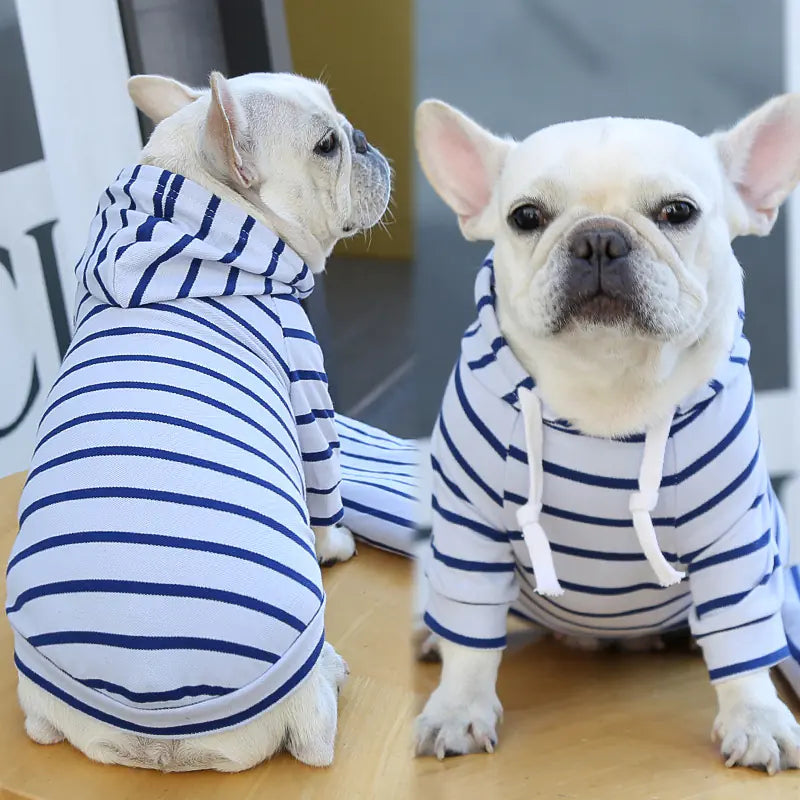 Furry Fashion Stripe Hoodie - Dogs & Cats