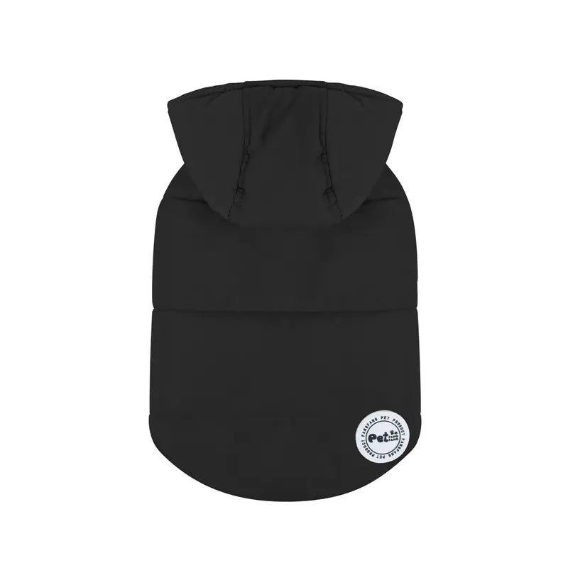 Stylish Cold Weather Gear for Dogs