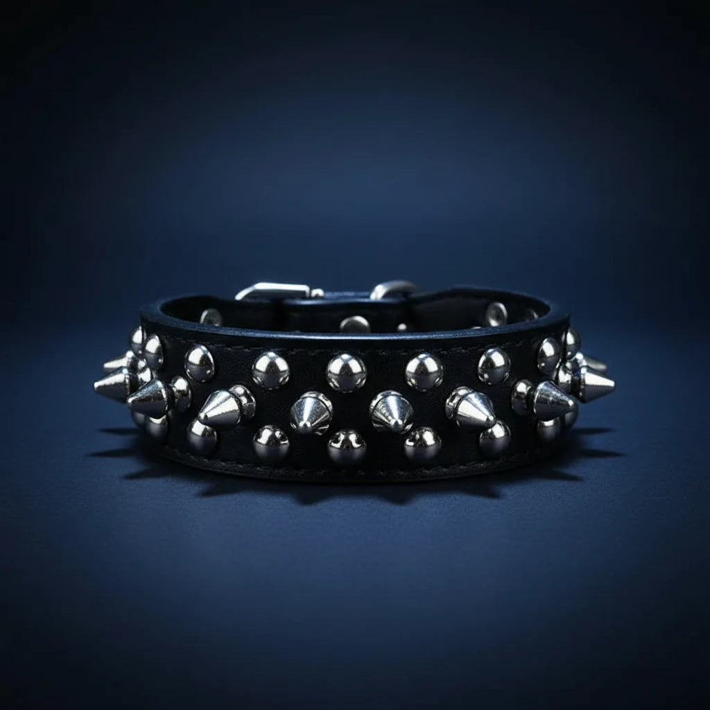 Elegant Rivet Dog Collar